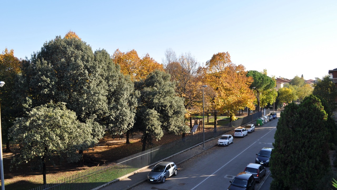 Photo of Outdoor in Est