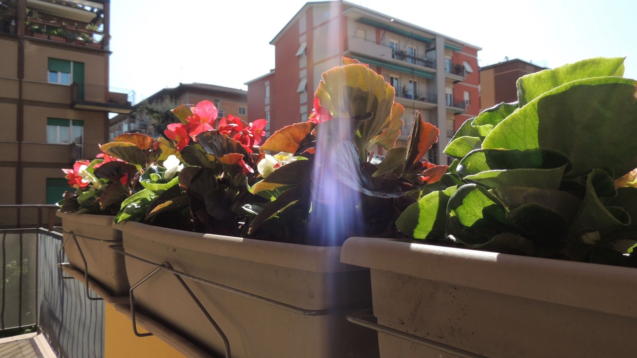 Photo of Outdoor in San Zeno