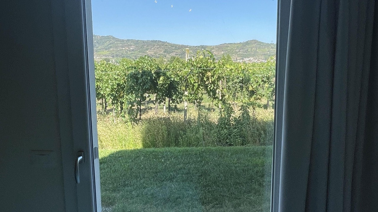 Photo of Bedroom in Montecchia di Crosara