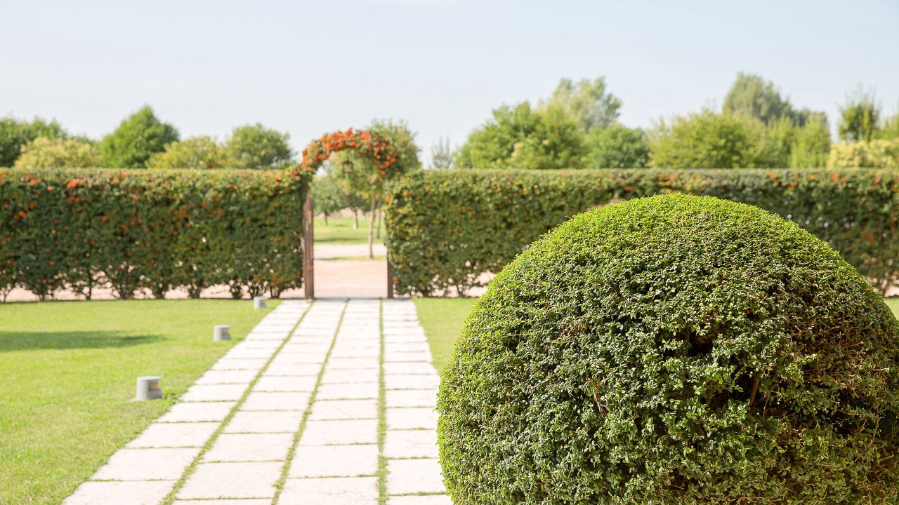 Photo of Outdoor in Zevio