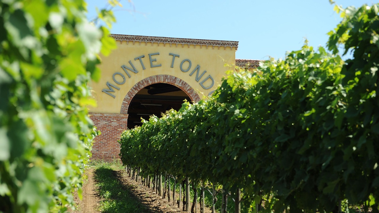 Photo of Outdoor in Soave