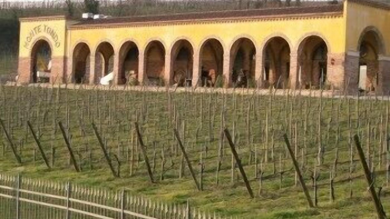 Photo of Outdoor in Soave