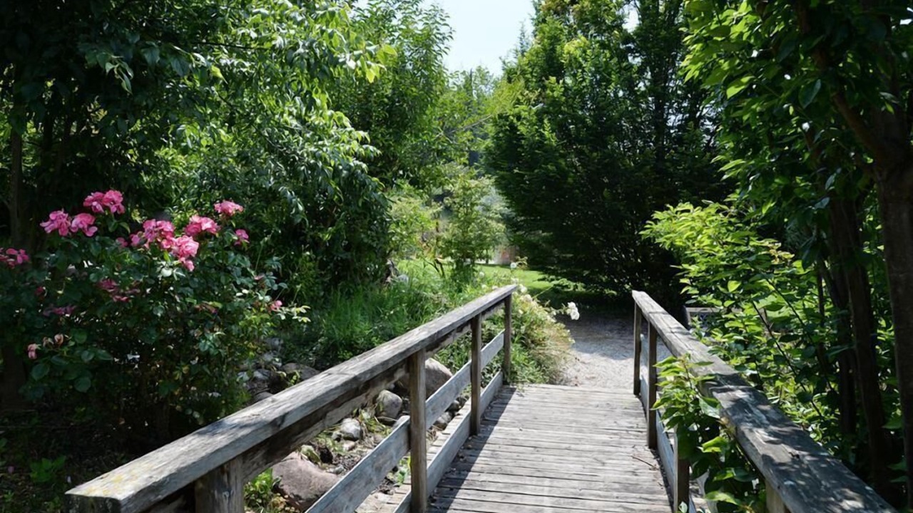 Photo of Outdoor in Sommacampagna