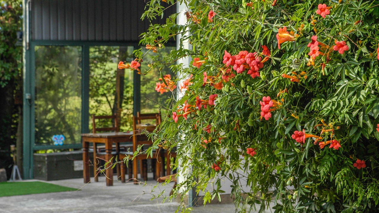 Photo of Outdoor in Bussolengo