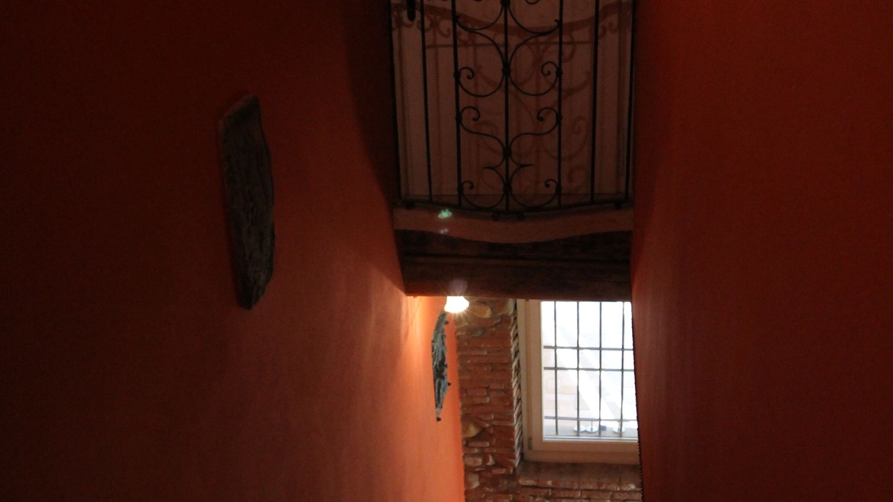 Photo of Others in Ovest