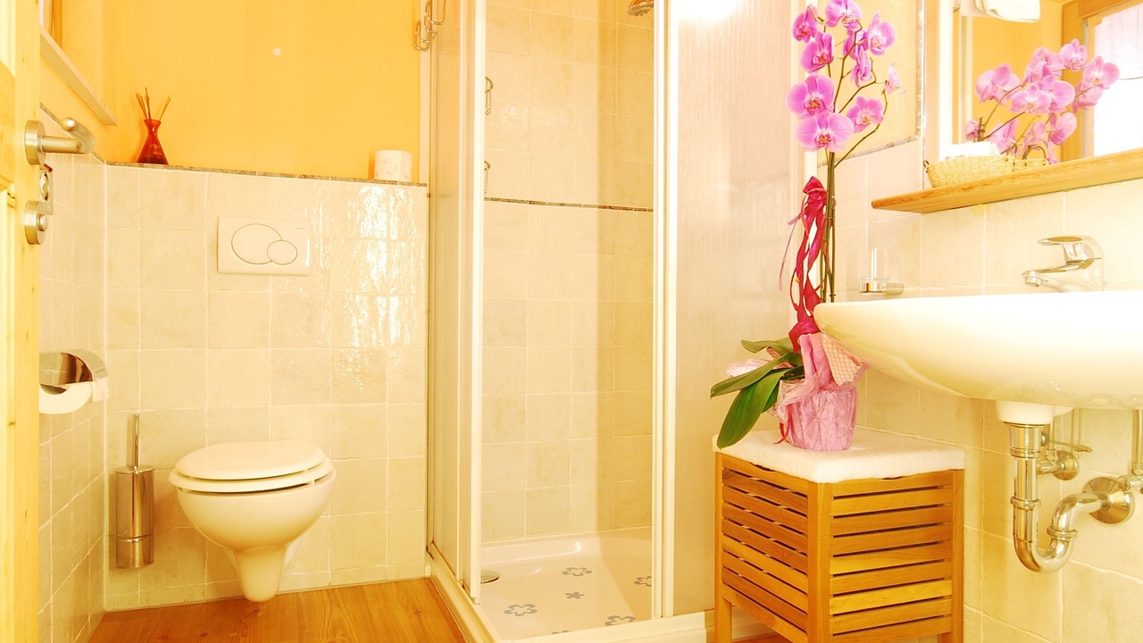 Photo of Bathroom in Sud