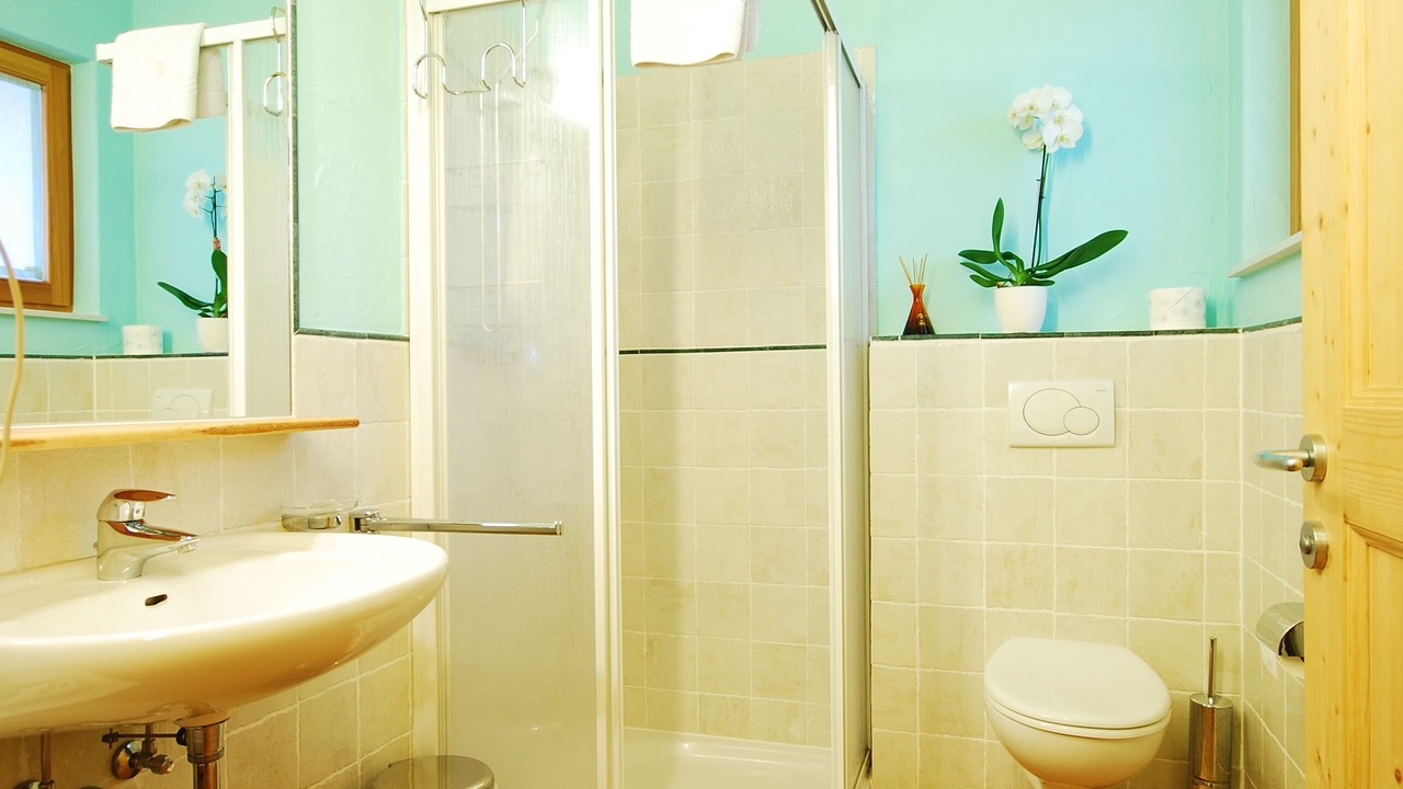 Photo of Bathroom in Sud
