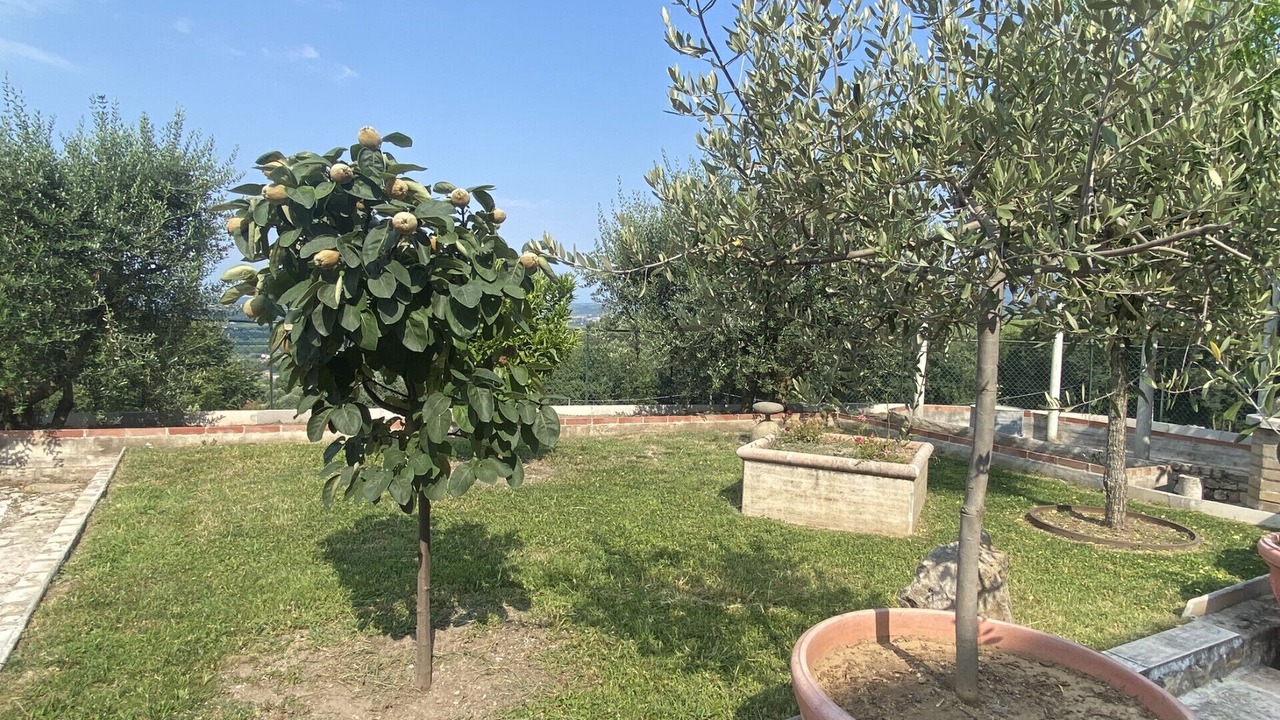 Photo of Outdoor in Negrar