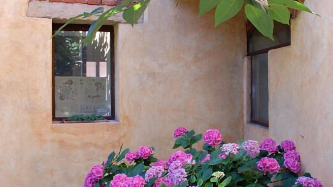 Photo of Outdoor in San Zeno