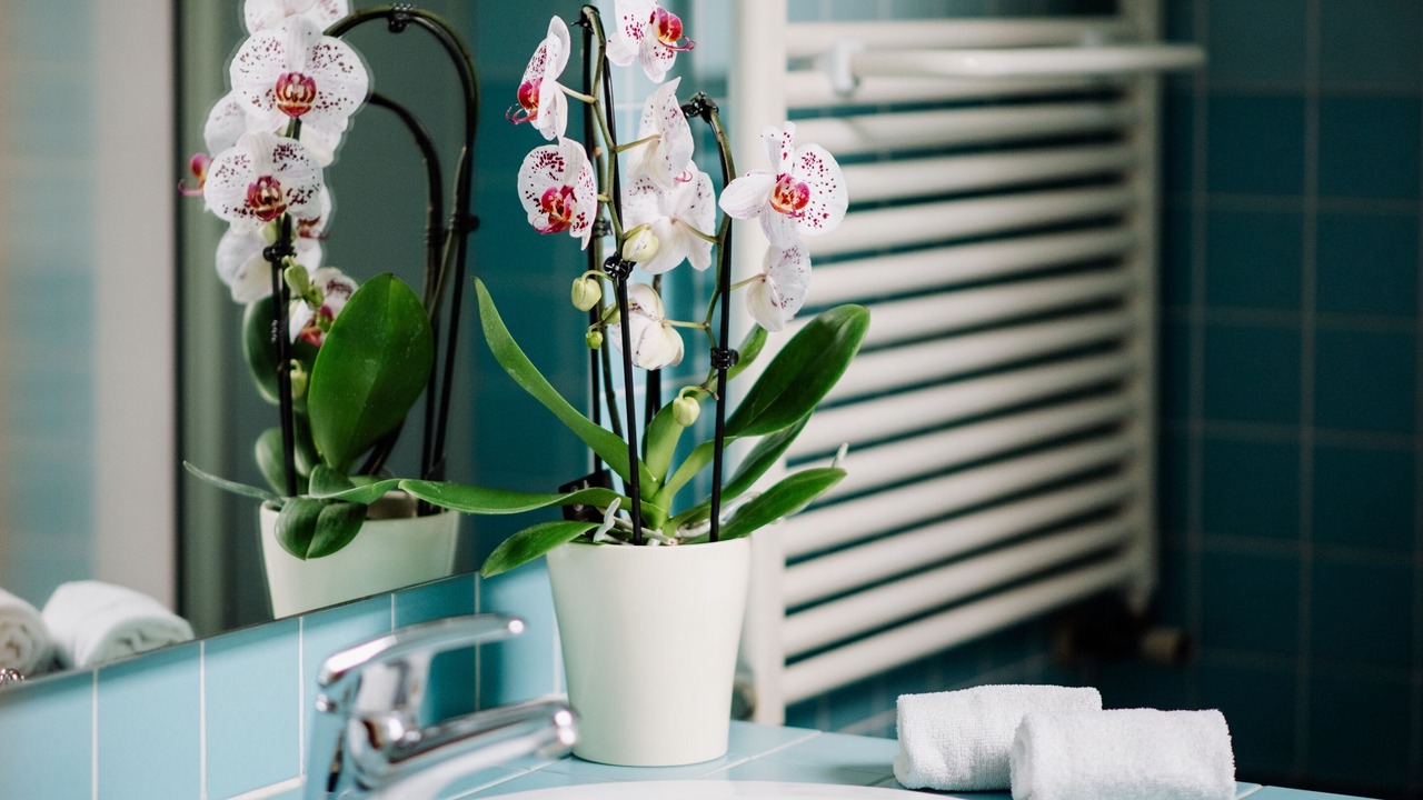 Photo of Bathroom in Monteforte d'Alpone