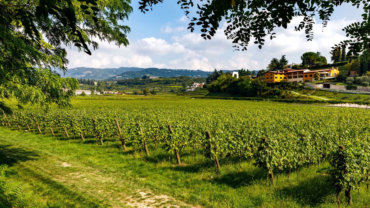 Photo of Outdoor in Pedemonte