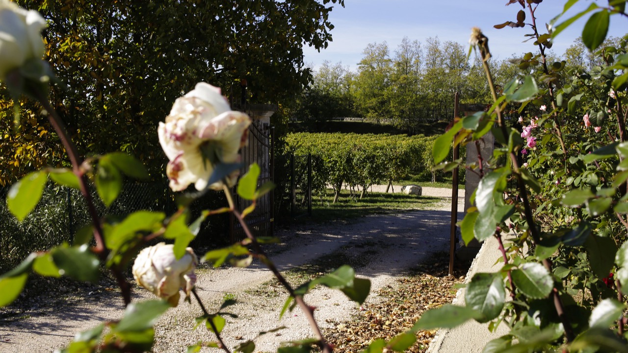 Photo of Outdoor in Pedemonte