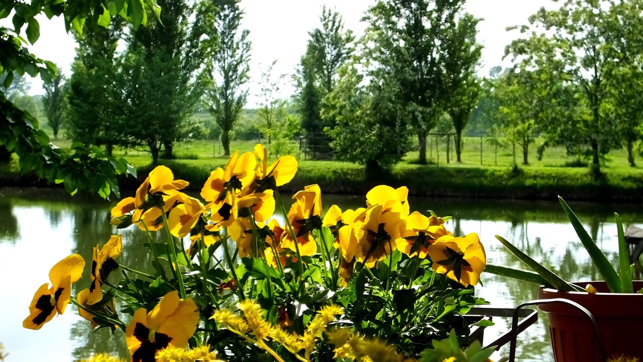 Photo of Outdoor in Badia Polesine