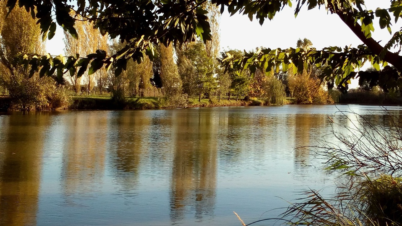 Photo of Outdoor in Badia Polesine