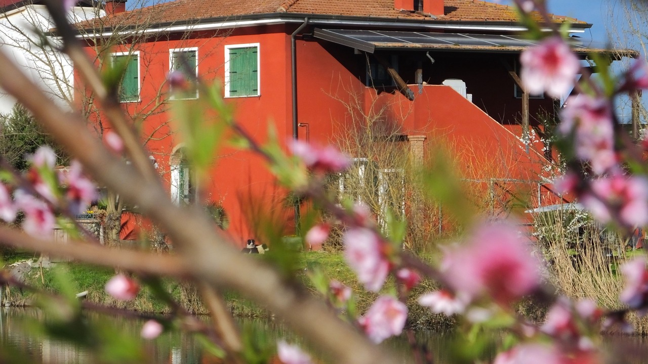 Photo of Others in Badia Polesine