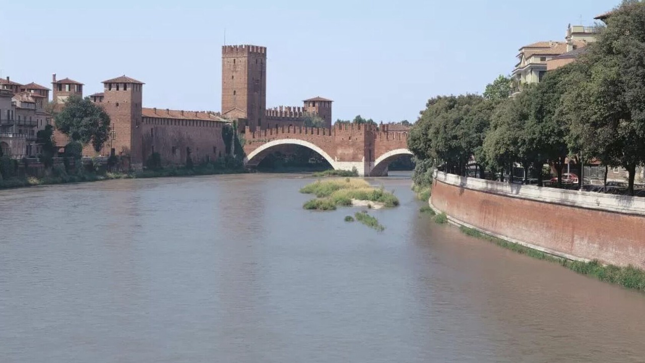 Photo of Others in Verona City Centre