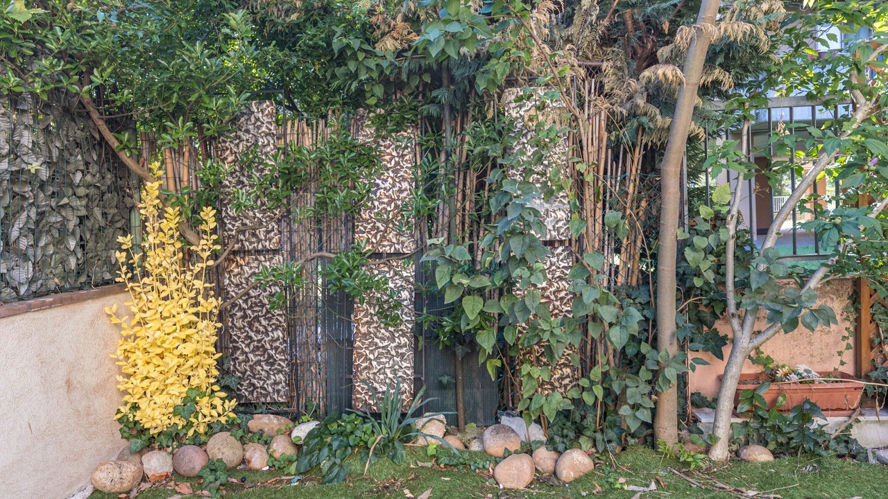 Photo of Outdoor in Sud-Ovest