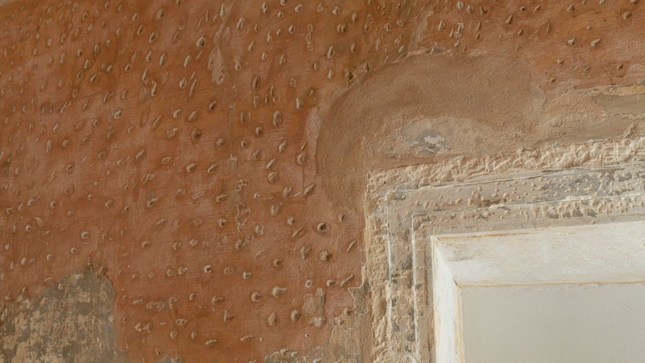 Photo of Others in Cittadella