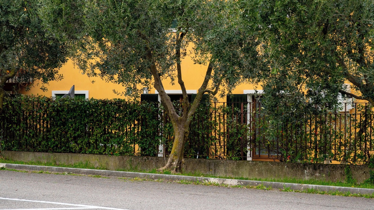Photo of Outdoor in Valgatara