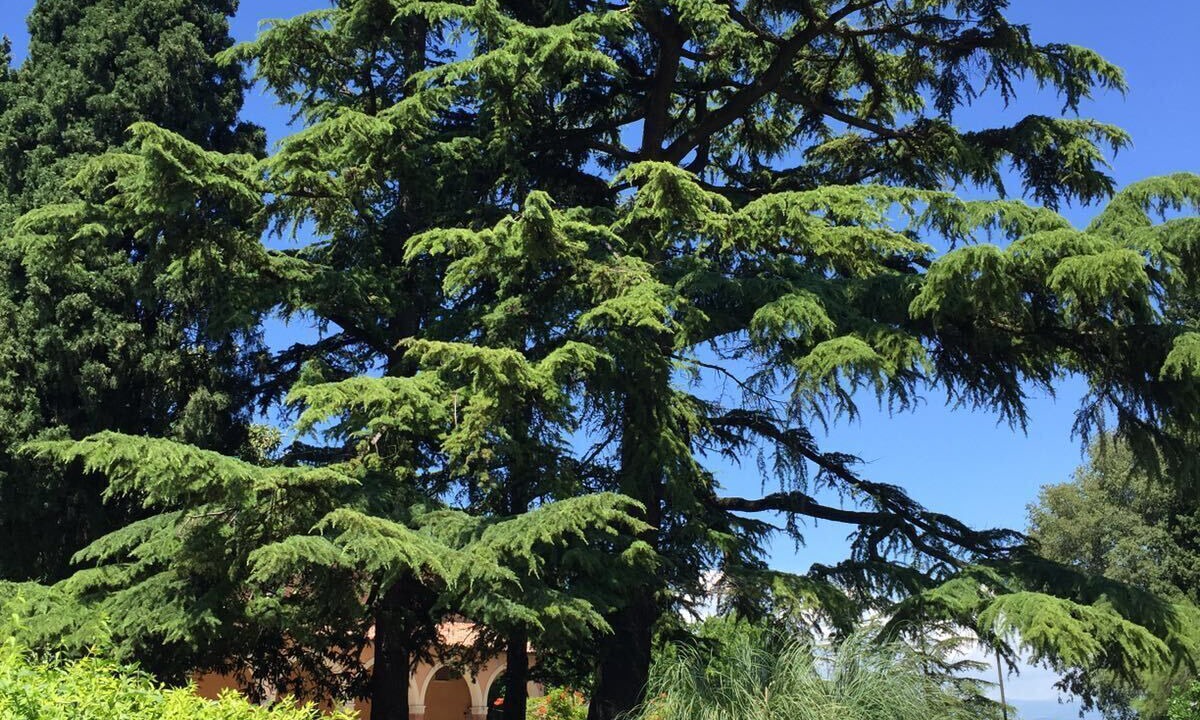 Photo of Outdoor in Sona