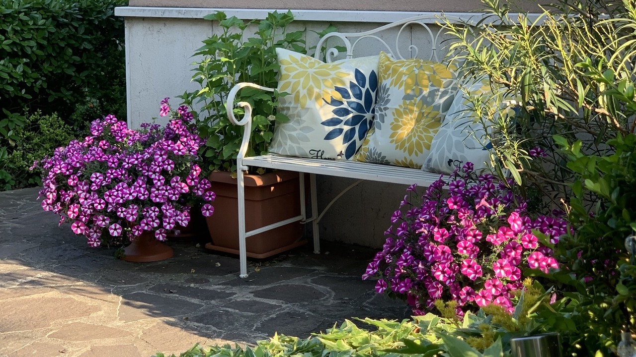 Photo of Outdoor in Est