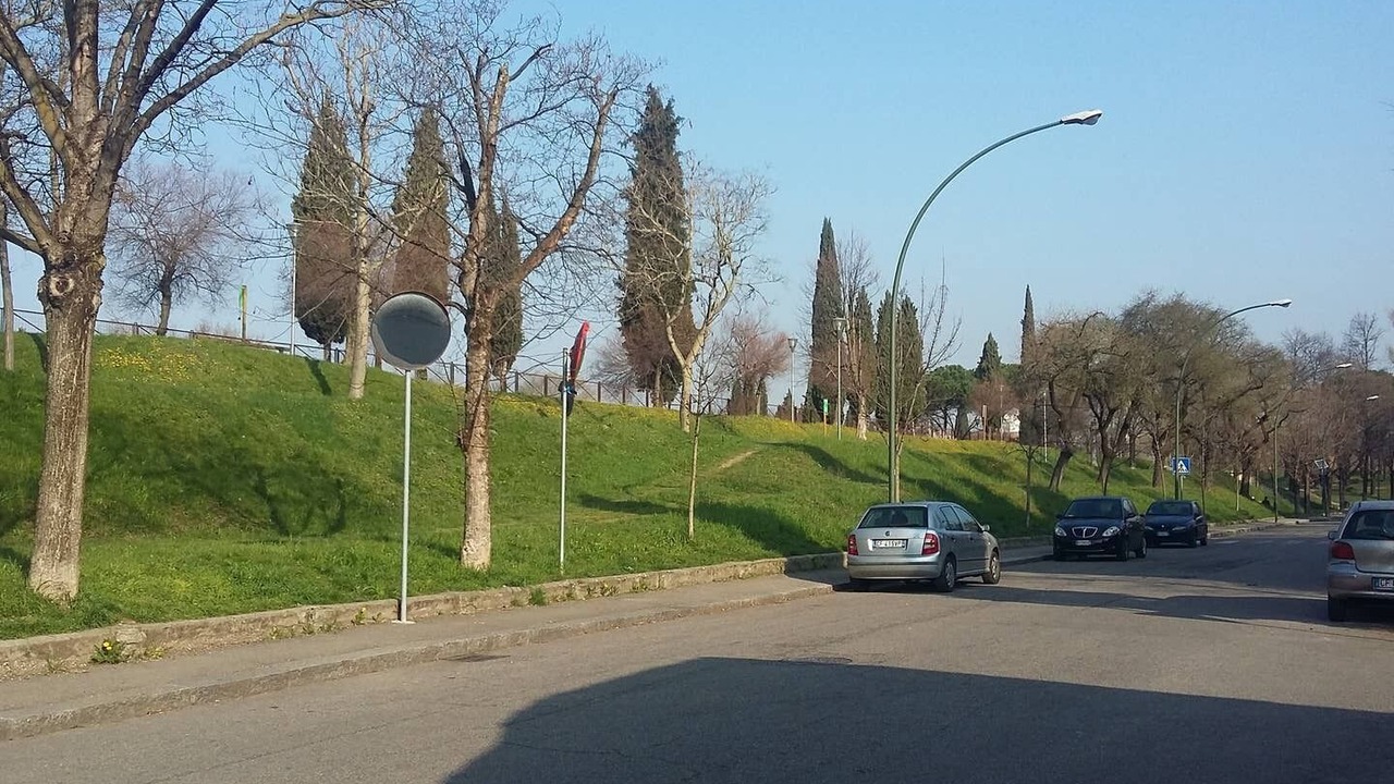 Photo of Others in San Zeno