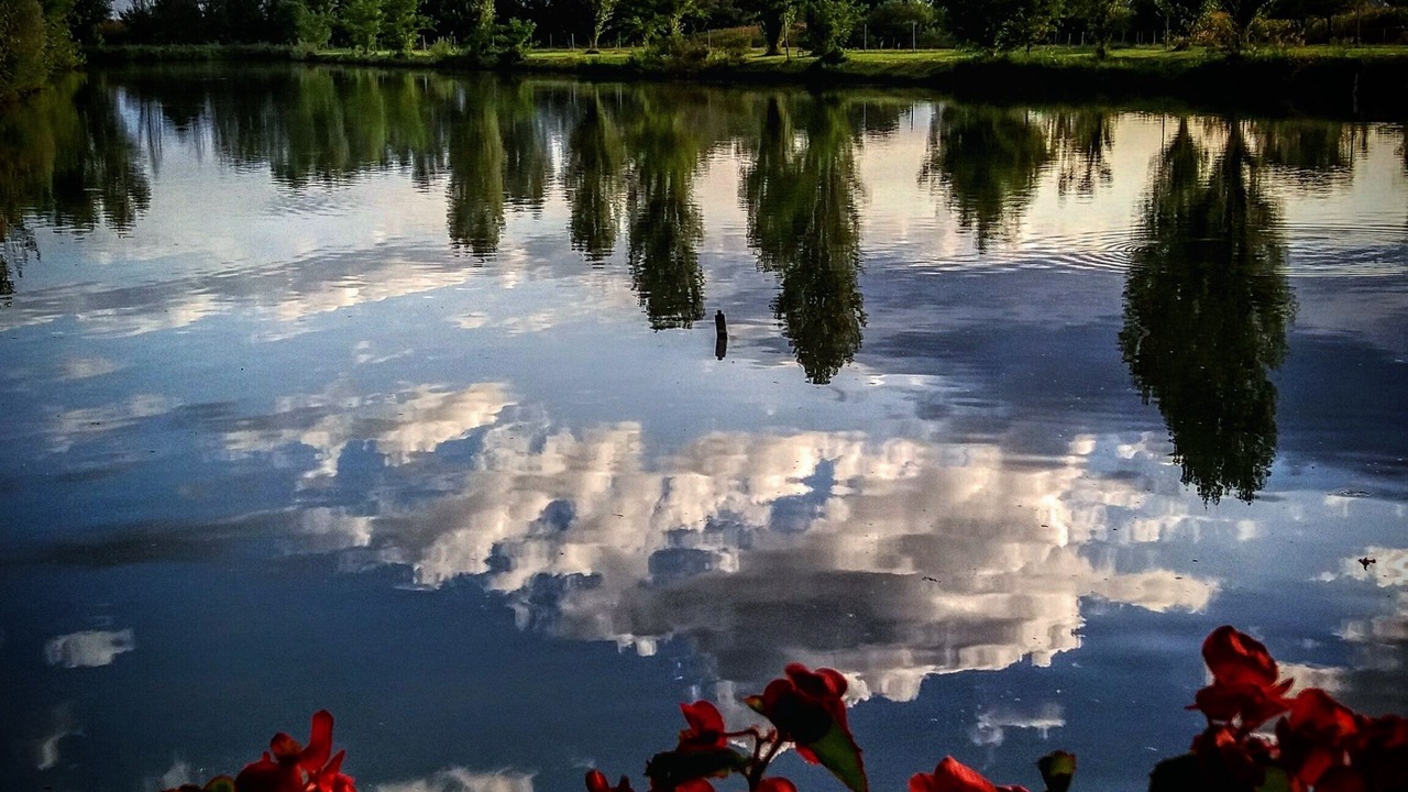 Photo of Outdoor in Badia Polesine