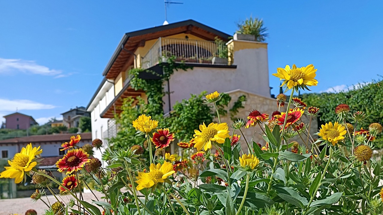 Photo of Outdoor in Negrar