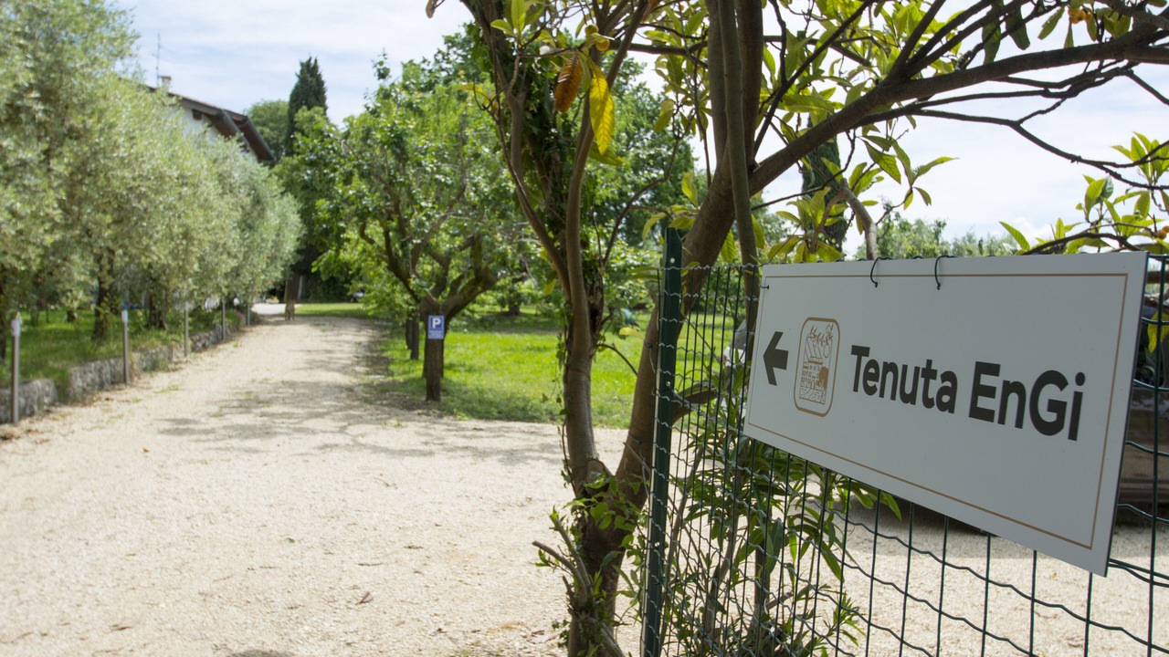 Photo of Outdoor in Sona
