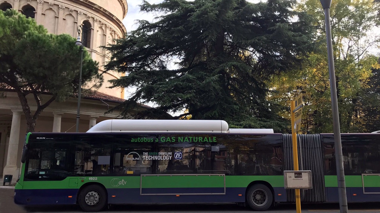 Photo of Outdoor in San Michele