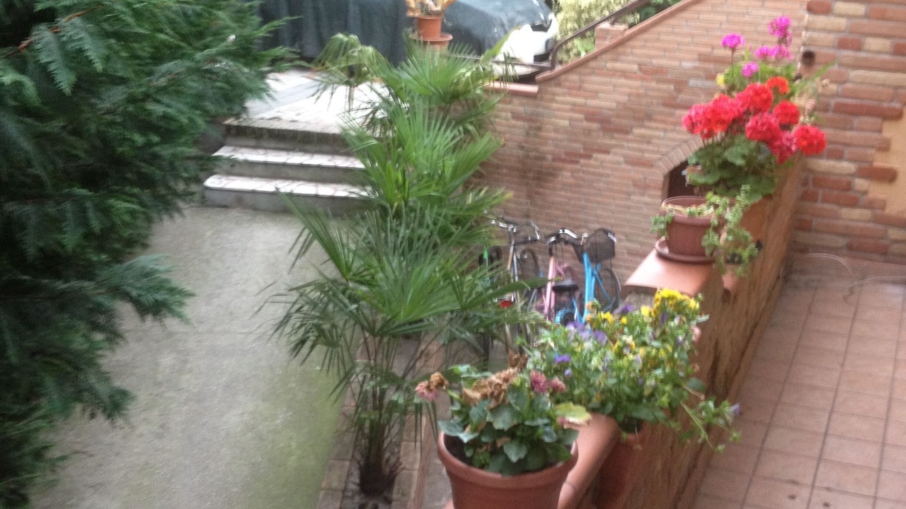 Photo of Outdoor in Badia Polesine