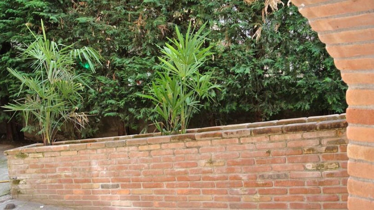 Photo of Outdoor in Badia Polesine