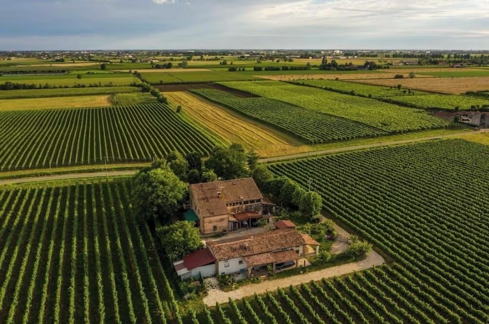 Photo of Outdoor in Lonigo