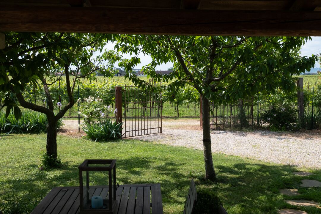 Photo of Outdoor in Lonigo