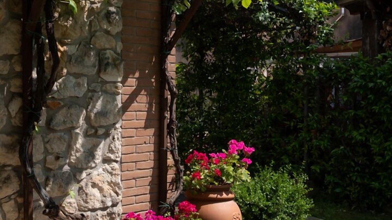 Photo of Outdoor in Lonigo