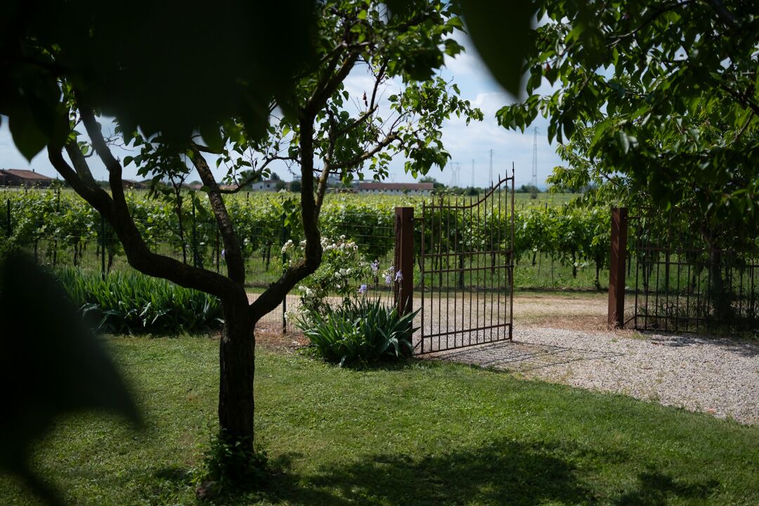 Photo of Outdoor in Lonigo