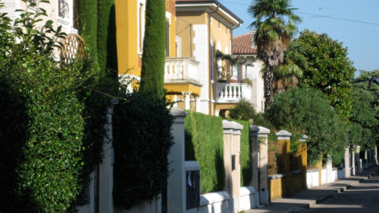 Photo of Outdoor in Est