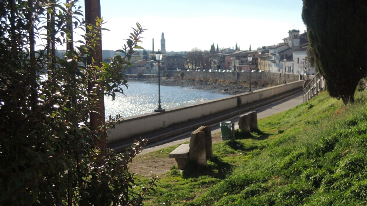Photo of Others in Pescantina