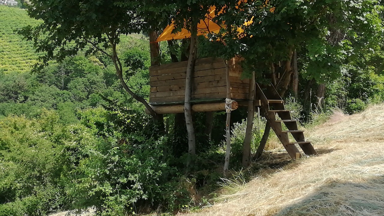 Photo of Outdoor in Nord-Est