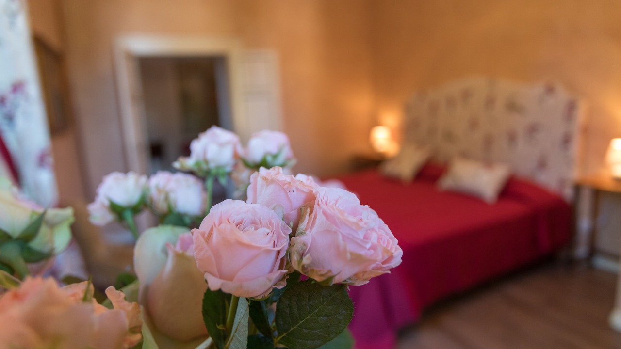 Photo of Bedroom in Sona