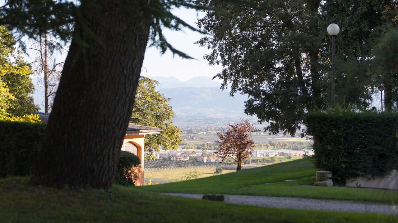 Photo of Outdoor in Sona