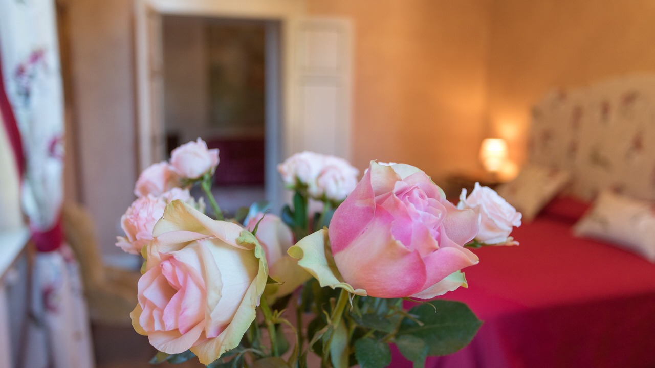 Photo of Bedroom in Sona