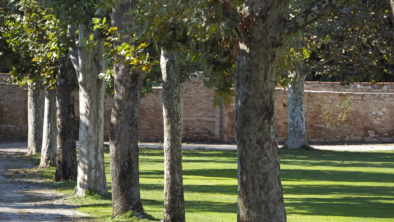 Photo of Outdoor in Lonigo