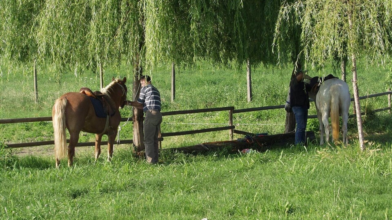 Photo of Others in Legnago