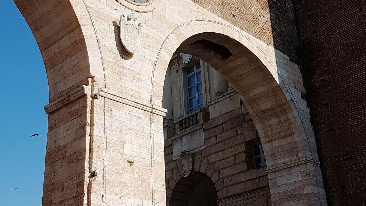 Photo of Others in Cittadella