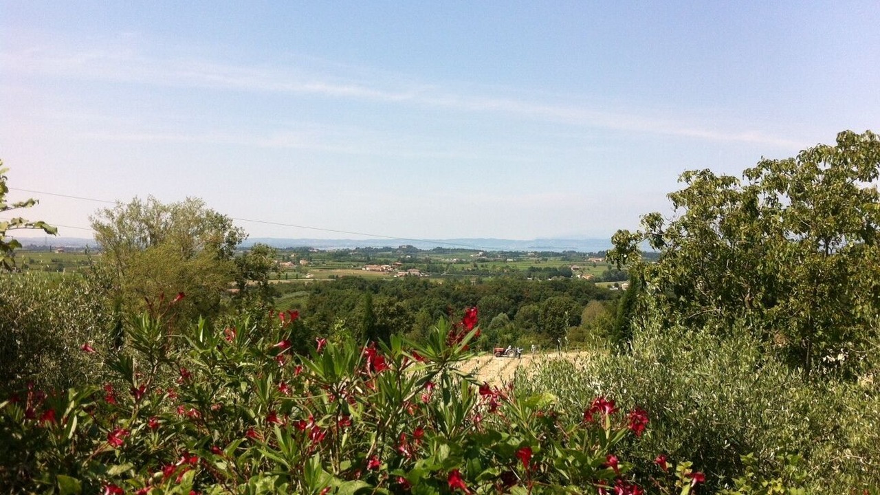Photo of Outdoor in Bussolengo