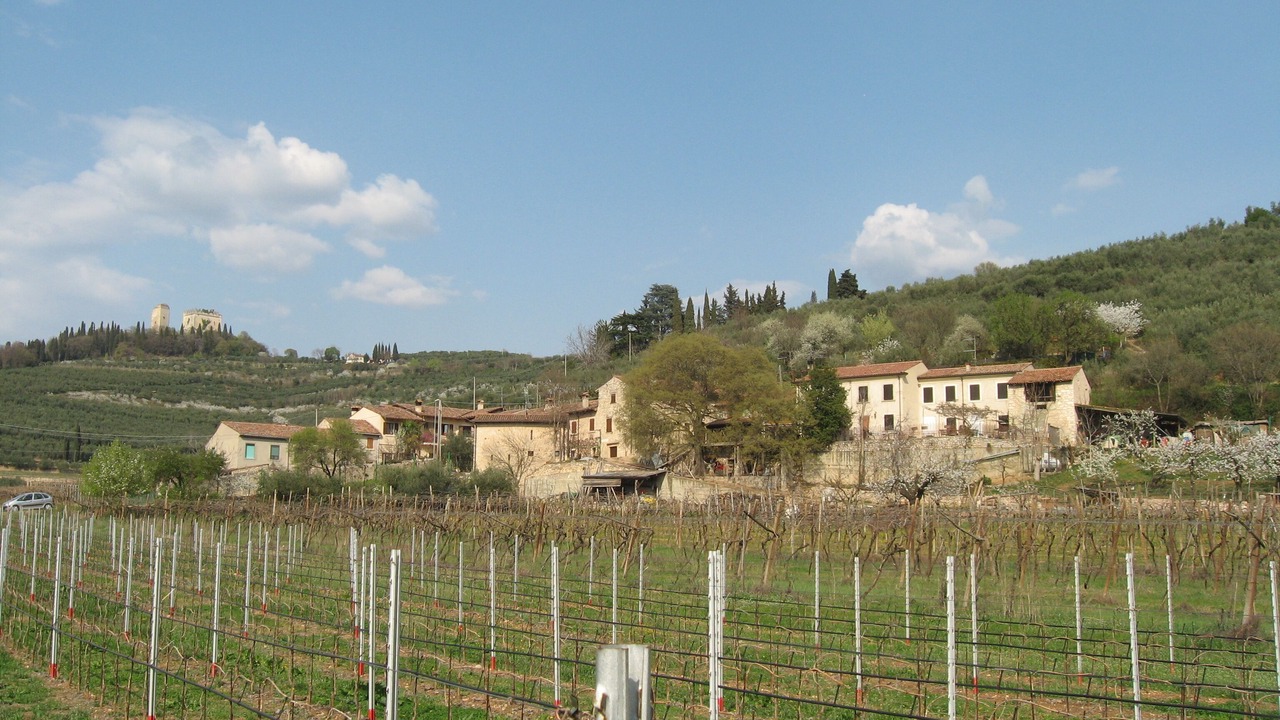 Photo of Others in Sottomonte