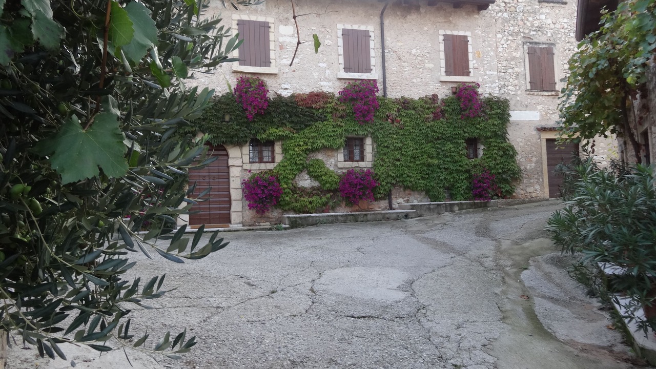 Photo of Outdoor in Sottomonte