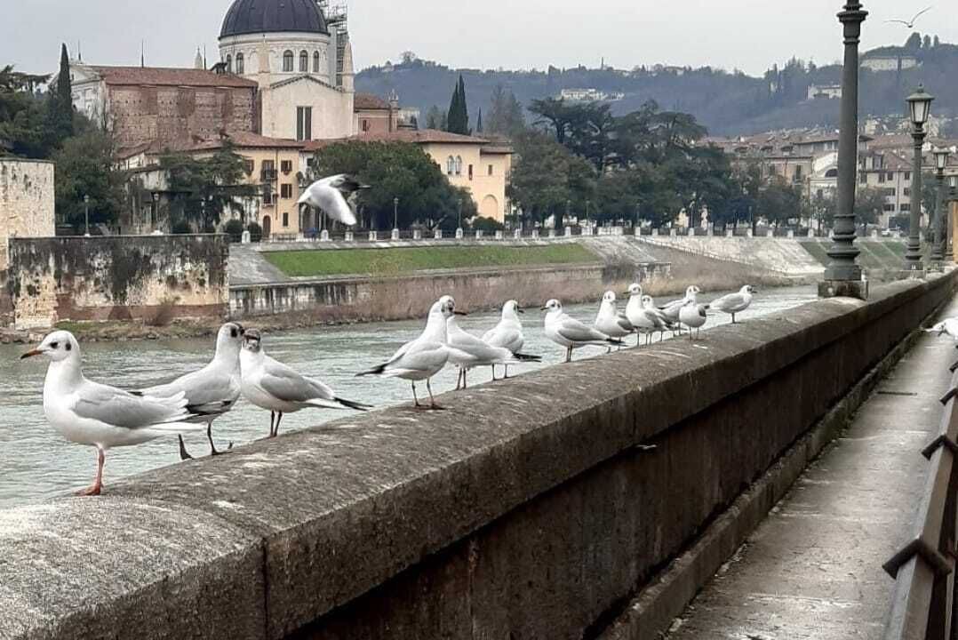 Photo of Others in Sud-Ovest