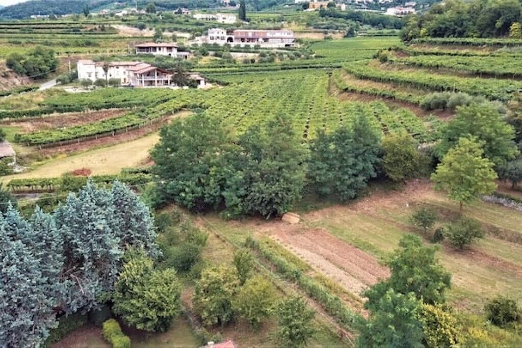 Photo of Outdoor in Negrar